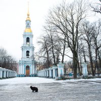 Я уже было отчаялась найти вчера хоть одну живую душу. :: Майя Жинкина