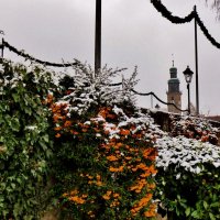 Январь,  дождь в городе :: backareva.irina Бакарева