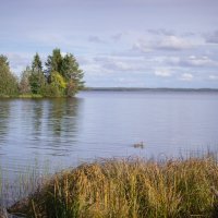 Лехтенское озеро :: Ольга Нежикова
