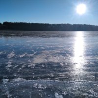 Перый лёд на лесном озере :: SergAL 