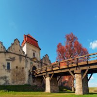 Свиржский замок. :: Юрий Гординский