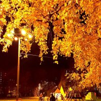 Осенний вечер в Чертанове... :: ГЕНРИХ 