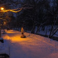 Прогулки в Вечернем Парке :: юрий поляков