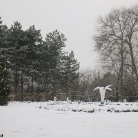 В зимнем парке :: Нина Бутко