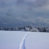 «Зимняя прогулка» :: Александр Гладких