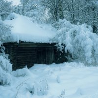 Зима в деревне :: Людмила Гулина