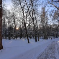 Январь в Царицыно... :: Владимир Жданов