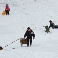 Всеобщий восторг на горке! Даже у таксёнка...) :: Тамара Бедай 