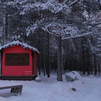 Зима в лесопарке :: Ольга 