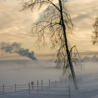 туман :: Елена Чудиновских