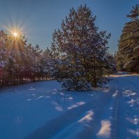 Мороз vs. Солнца # 5 :: Андрей Дворников