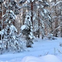 Зимняя сказка. :: Восковых Анна Васильевна 