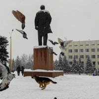 Не дам голубям замерзнуть :: Лидия Самойлова