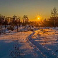 Мороз vs. Солнца # 7 :: Андрей Дворников