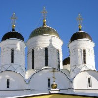Купола собора Рождества Пресвятой Богородицы в Пафнутьевом-Боровском монастыре :: Иван Литвинов