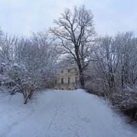 В Павловске :: Сергей Григорьев