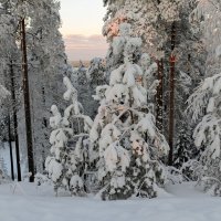 Мороз и солнце :: skijumper Иванов