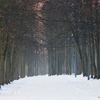 Зимой в парке! :: Андрей Буховецкий