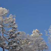 24.01.21 Братск Тэнга :: Людмила Ковалева