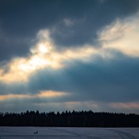 зима :: Олег Алексеев