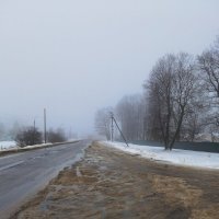Туман и слякоть :: Николай Филоненко 