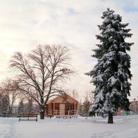 Ещё одно январское утро... :: Андрей Заломленков