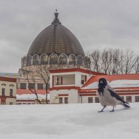 Где то на ВДНХ :: юрий поляков