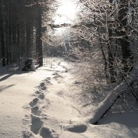 Про зимнее волшебство.. :: Андрей Заломленков