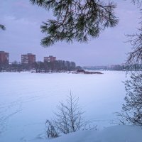 Зимние сумерки. :: Михаил "Skipper"