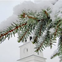 Этюд снежного дня с веточкой :: Ольга Елисеева