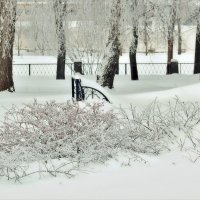 Снег в монастыре…, как лебединый пух. :: Татьяна Помогалова