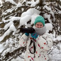 Фотоохота на снегирей :: Людмила Ковалева
