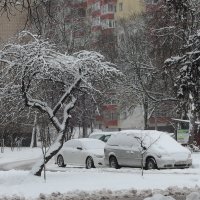 Зима :: Александр Сапунов