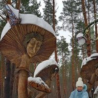 Зимний сбор грибов :: Galina Solovova