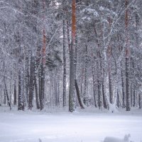 Первый день февраля. :: Вадим Басов