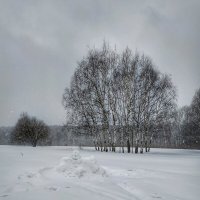 зимний день :: Валентина. .