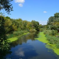 Красный Сулин. Река Гнилуша у Скелеватского моста. :: Пётр Чернега