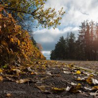 Первый день осени :: Анатолий Клепешнёв