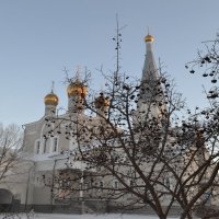 Рябиновые гроздья Свято  Введенского храма... :: Георгиевич 