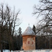 Павловский парк зимой :: Наталья Герасимова