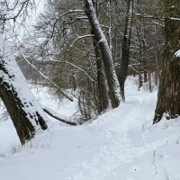 Февраль на Смоленщине (из поездок по области). :: Милешкин Владимир Алексеевич 