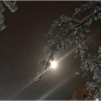 Луна. :: Валерия Комова