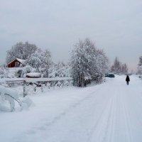 Зима :: Людмила Гулина