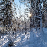 зима :: Андрей Шуляк