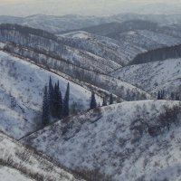 Природа Восточного Казахстана . Зима 2021г. :: Мила Бовкун