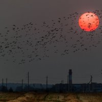 Кровавое солнце над Шумилино :: Анатолий Клепешнёв