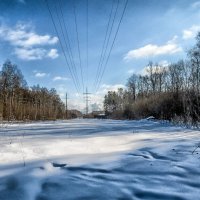 После снегопада 05-02-2021 Ромашковский лес.... :: Юрий Яньков