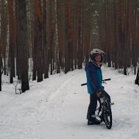 В лесу пригородском, февральском... :: Михаил Полыгалов