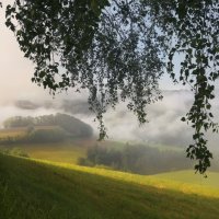 foggy day :: Elena Wymann