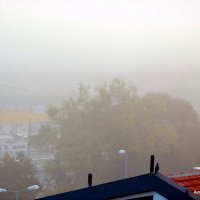 Утренний туман. :: Валерьян Запорожченко